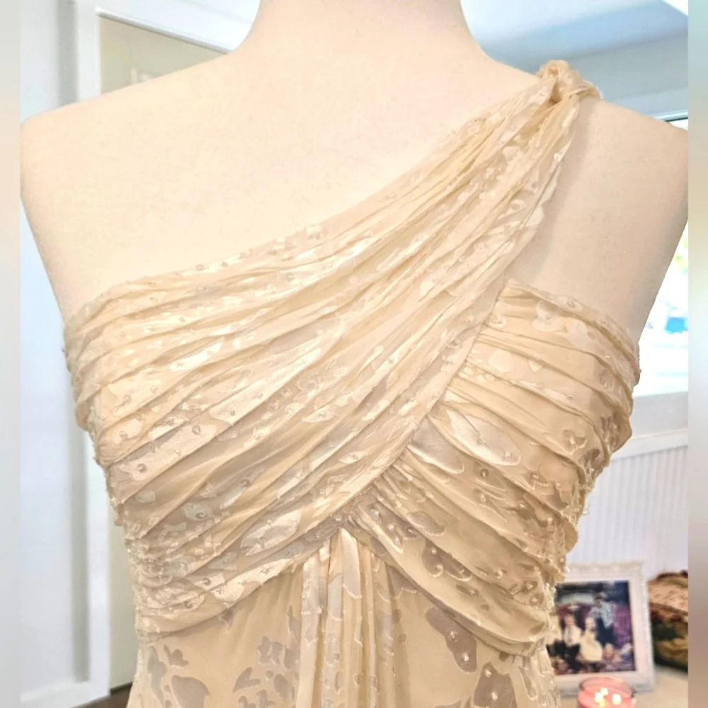 NWOT'S - ALEX EVENINGS - Cream White Floral Print On Shear- Size 4 - 2 piece set - Picture 3 of 11